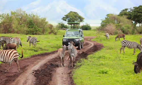 kenya tanzania safaris
