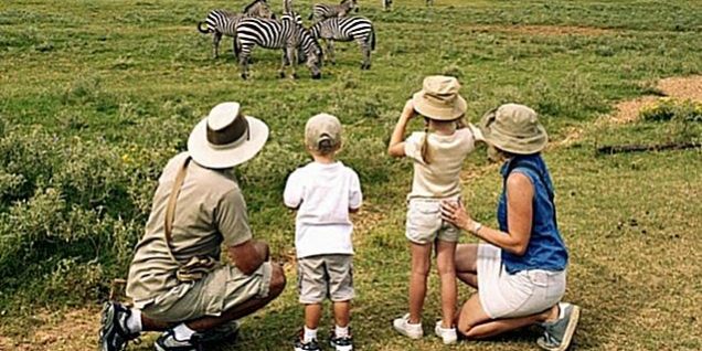 family-safaris-1-concentrate
