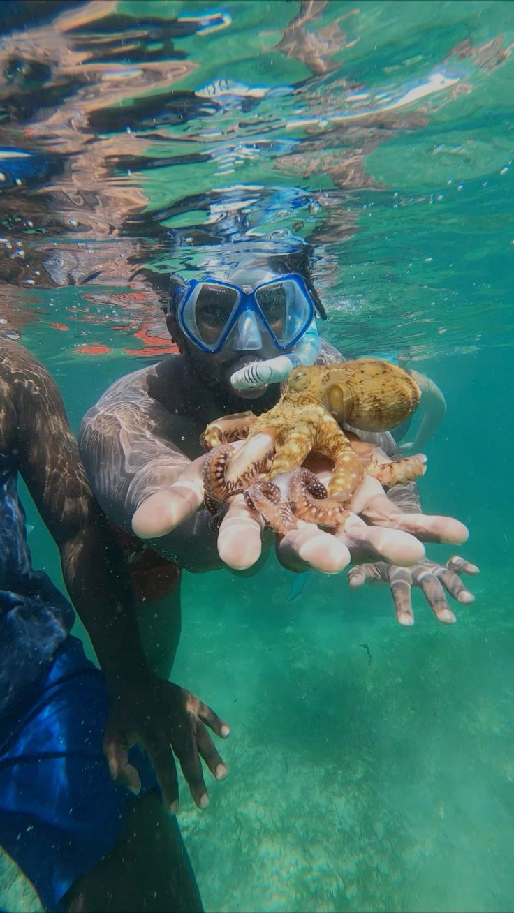 Snorkeling Tours